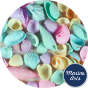 8066-P1 - Coloured Pastel Shells - Project Pack